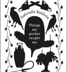 Things My Garden Taught Me