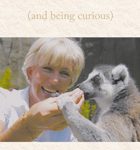 The Road Less Travelled (and being curious)