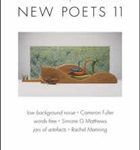 Friendly Street New Poets 11