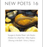 Friendly Street New Poets 16