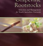 Grapevine Rootstocks